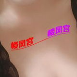 洪楼附近  大胸熟妇