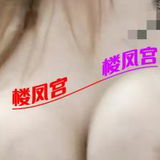 气质姐姐