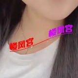 山东性价比很高的贱狗
