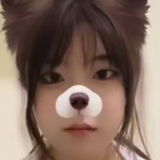红星小坦克
