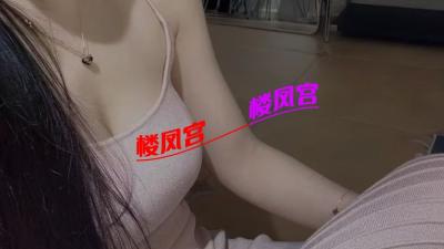 花果园小猫咪