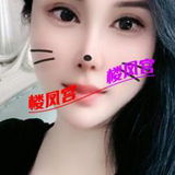 回归的小姐姐