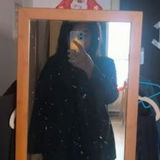 比较胖，介意的勿扰