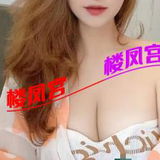 服务系菲菲