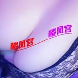 北工大夕米大胸性价比