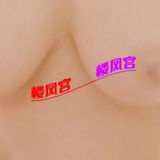 丰乳超有身材的熟女姐姐，阴推差点给秒