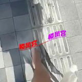 验证微胖小姐姐