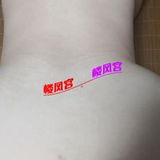 轻熟御姐