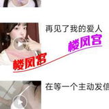 楼凤