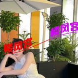 风骚小姐也温柔
