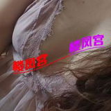 少妇奶茶