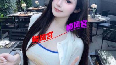 重庆情趣炮架
