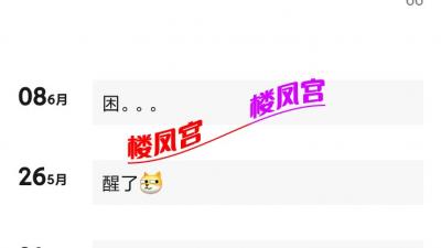 06年精神小妹