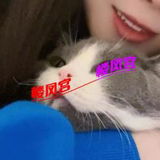 年轻