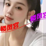 蜀山小乔中项