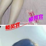 验证少妇