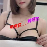 之前来过的允真回归