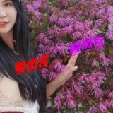 燕郊 四百大活