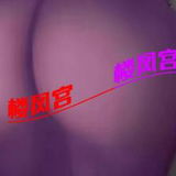 肥臀姐姐