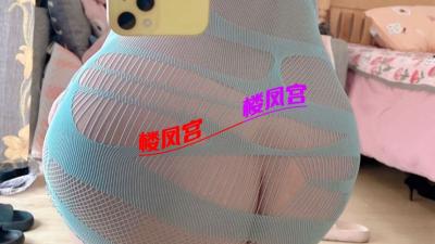 验证五塘汤微胖楼凤