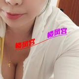 河东性感尔佳
