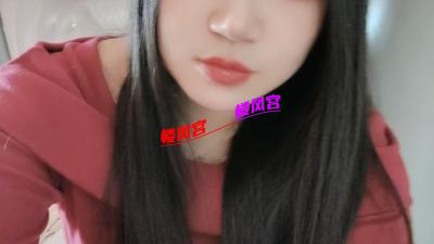 性价比高