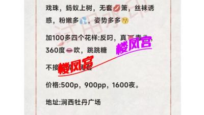 涧西少妇
