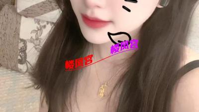 西宁抓龙筋小燕子