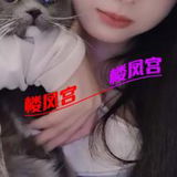 北湖茶