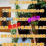 东站甜妹野路子