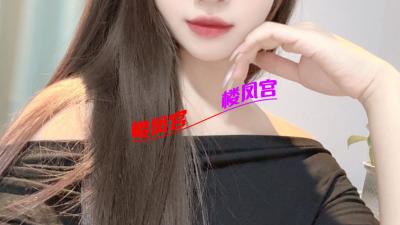 广州白云小可爱