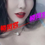 服务有毒龙可舌吻的少妇
