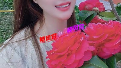 性价比很高的美女