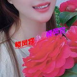 性价比很高的美女