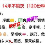 罗湖知性白领少妇