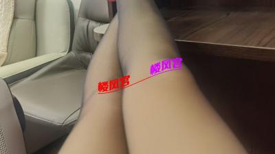 性价比大奶骚逼